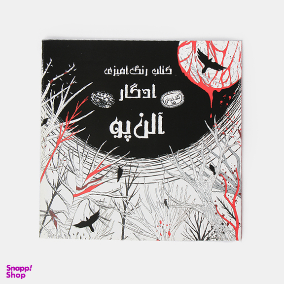 کتاب رنگ آمیزی ادگار آلن پو اثر اودیسا بیگی انتشارات حوض نقره