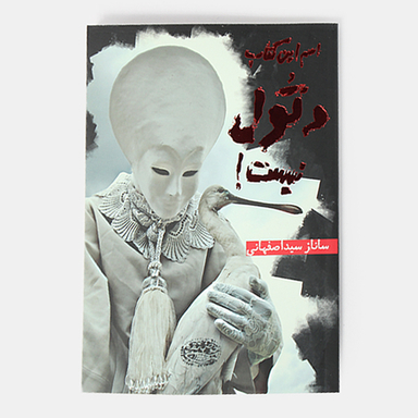 کتاب اسم این کتاب دتول نیست اثر ساناز سیداصفهانی انتشارات حوض نقره