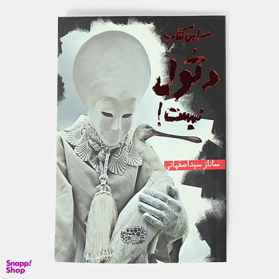 کتاب اسم این کتاب دتول نیست اثر ساناز سیداصفهانی انتشارات حوض نقره