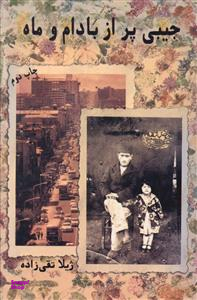 کتاب پر از بادام و ماه اثر ژیلا تقی زاده انتشارات حوض نقره