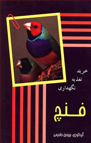 فنچ (خرید تغذیه نگهداری)