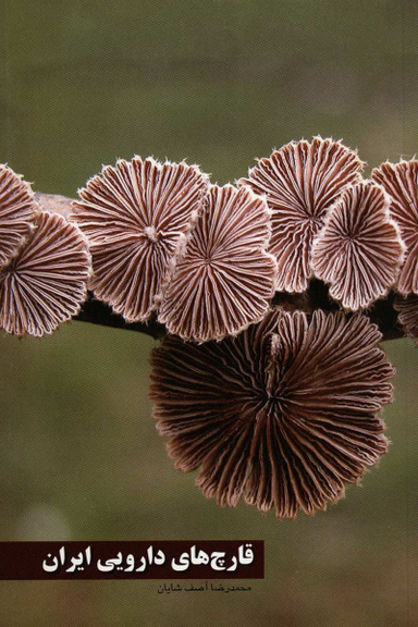 قارچ های دارویی ایران