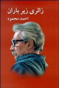 زایری زیر باران