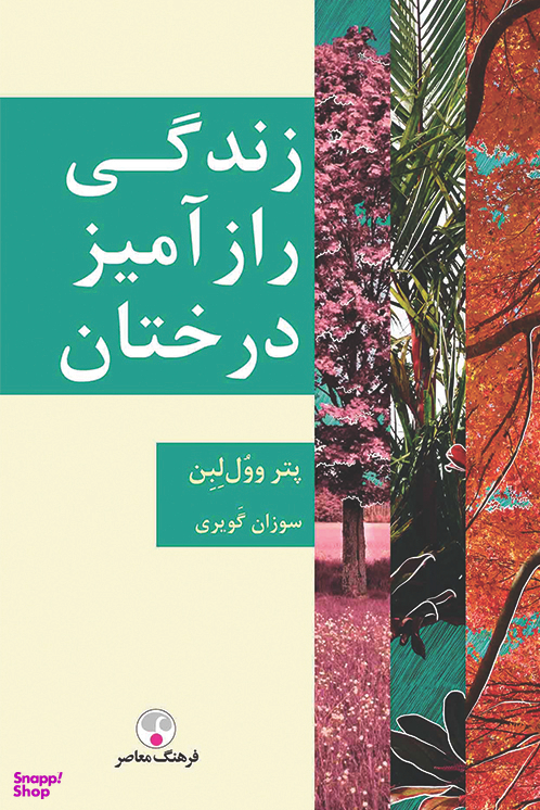 زندگی رازآمیز درختان