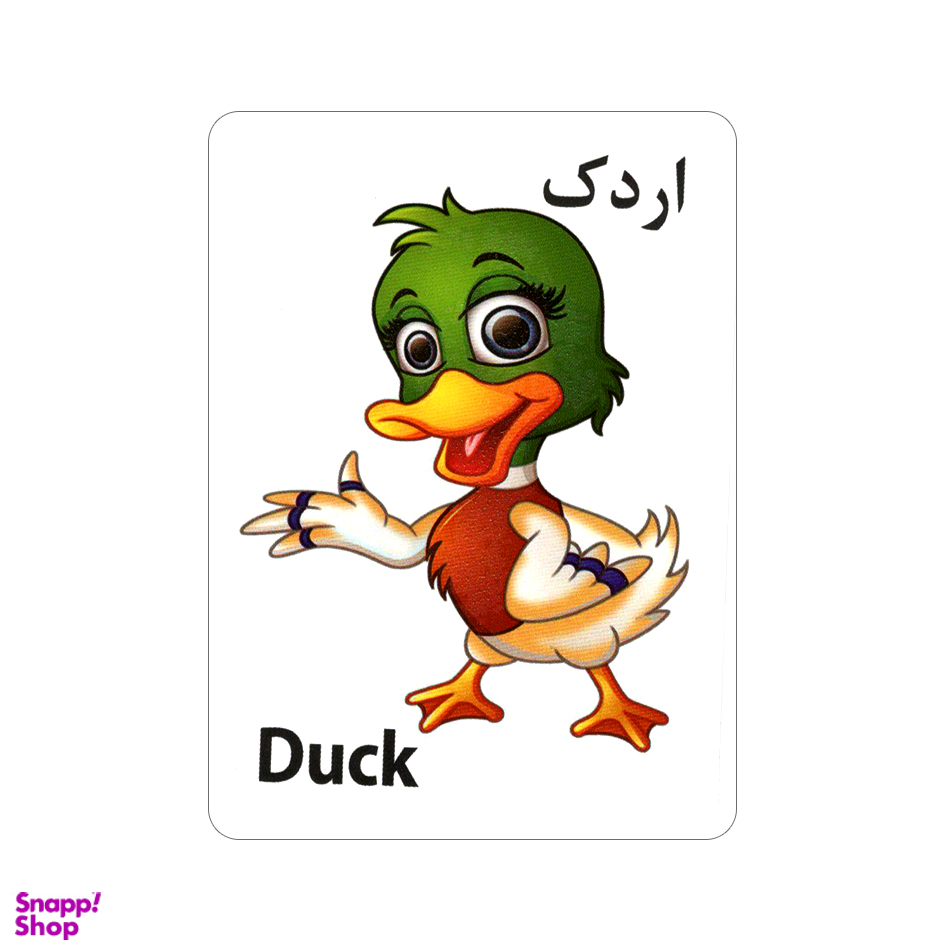 فلش کارت آشنایی با جانوران اثر علی ذوالفقاری نشر اندیشه کهن