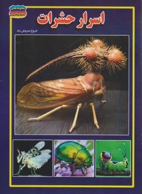 کتاب مجموعه علمی گنجینه ی دانش من (اسرار حشرات) اثر فروغ سروش راد انتشارات حباب
