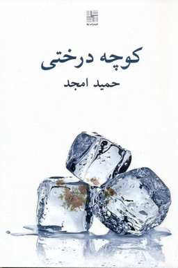 کوچه درختی