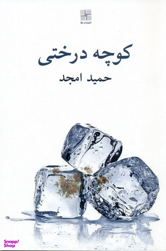 کوچه درختی