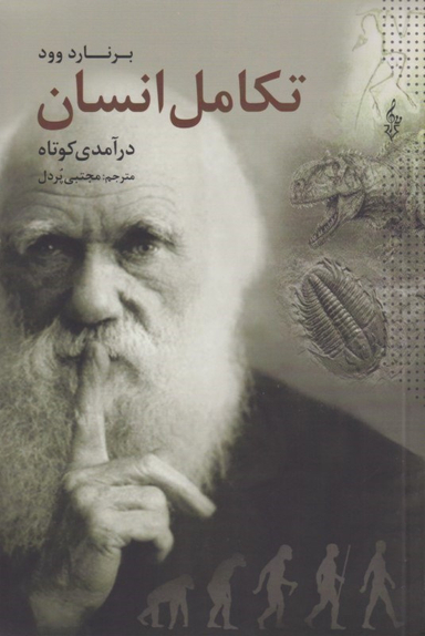 تکامل انسان