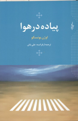 پیاده در هوا