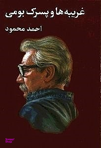 غریبه‌ها و پسرک بومی