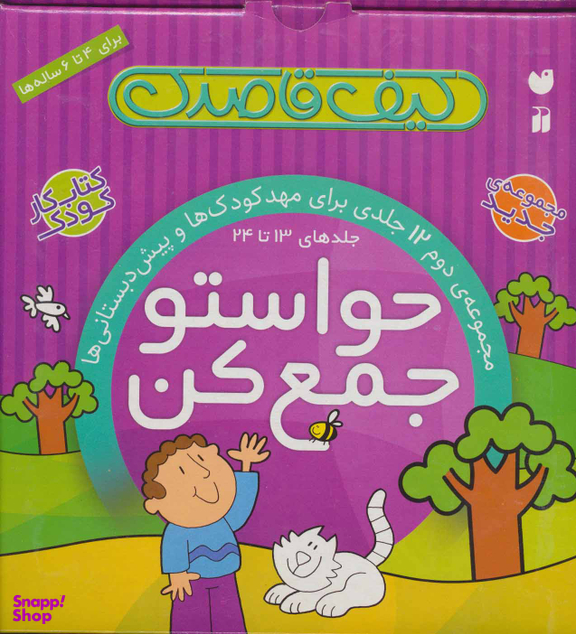 کتاب حواستو جمع کن: کیف قاصدک اثر فهیمه سید ناصری نشر ذکر جلد 2