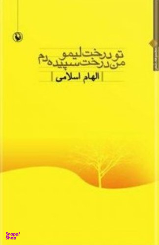 فلسفه صیرورت کیرکگور