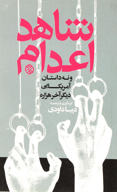 کتاب شاهد اعدام و نه داستان آمریکایی دیگر آخر هزاره اثر دیبا داوودی انتشارات روزنه