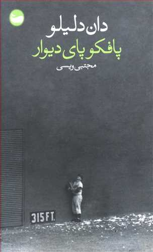 پافکوپای دیوار