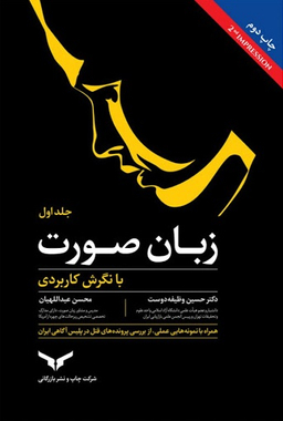 زبان صورت با نگرش کاربردی