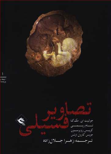 تصاویر فسیلی پریان