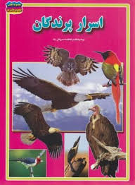 کتاب اسرار پرندگان اثر فاطمه سروش راد انتشارات حباب