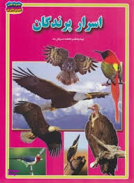کتاب اسرار پرندگان اثر فاطمه سروش راد انتشارات حباب