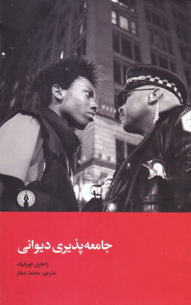 جامعه‌پذیری دیوانی