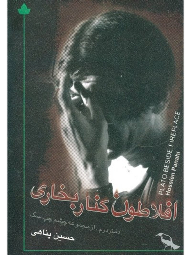 افلاطون کنار بخاری