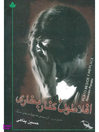 افلاطون کنار بخاری