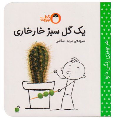 کتاب یک گل سبز خارخاری اثر مریم اسلامی انتشارات کتاب پرنده