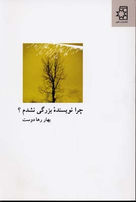 چرا نویسنده ی بزرگی نشدم؟