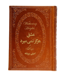 عشق هرگز نمی میرد