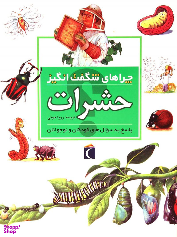 کتاب چرا های شگفت انگیز: حشرات اثر آماندا اونیل نشر مهتاب