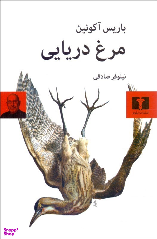 مرغ دریایی
