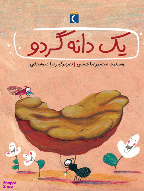 کتاب یک دانه گردو اثر محمدرضا شمس نشر مهتاب