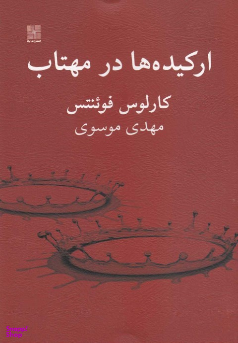 ارکیده‌ها در مهتاب