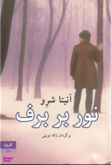 نور بر برف