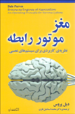مغز موتور رابطه