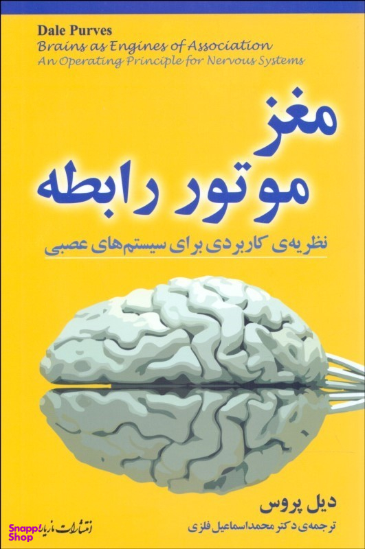 مغز موتور رابطه