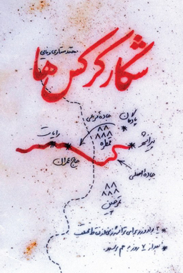 شکار کرکس ها