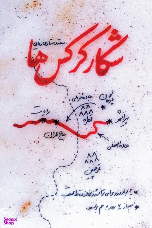شکار کرکس ها