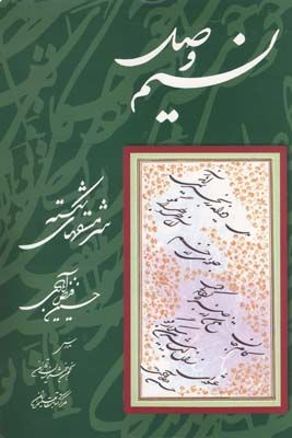 کتاب نسیم وصل سرمشق های شکسته اثر حسین فیض آبادی انتشارات مولف