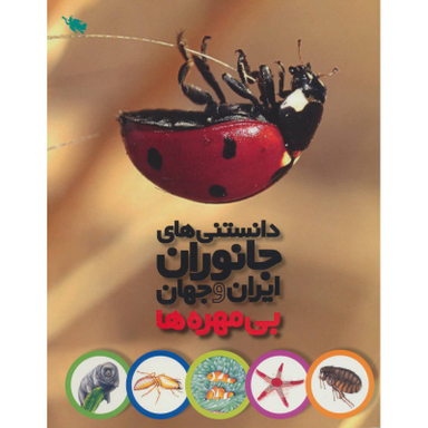 کتاب بی مهره ها اثر محمد کرام الدینی انتشارات نشر طلایی