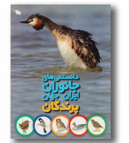 کتاب پرندگان اثر محمد کرام الدینی انتشارات نشر طلایی