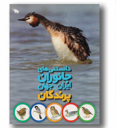 کتاب پرندگان اثر محمد کرام الدینی انتشارات نشر طلایی