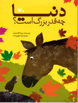 کتاب دنیا چه قدر بزرگ است؟ اثر بریتا تکنت راپ انتشارات کانون پرورش فکری کودکان و نوجوانان