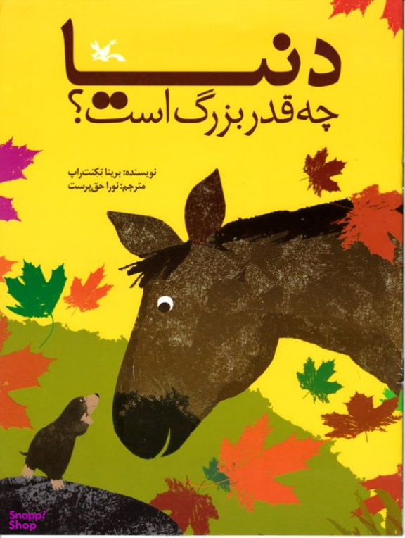 کتاب دنیا چه قدر بزرگ است؟ اثر بریتا تکنت راپ انتشارات کانون پرورش فکری کودکان و نوجوانان