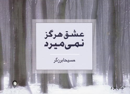 عشق هرگز نمی میرد