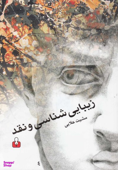 زیبایی شناسی و نقد