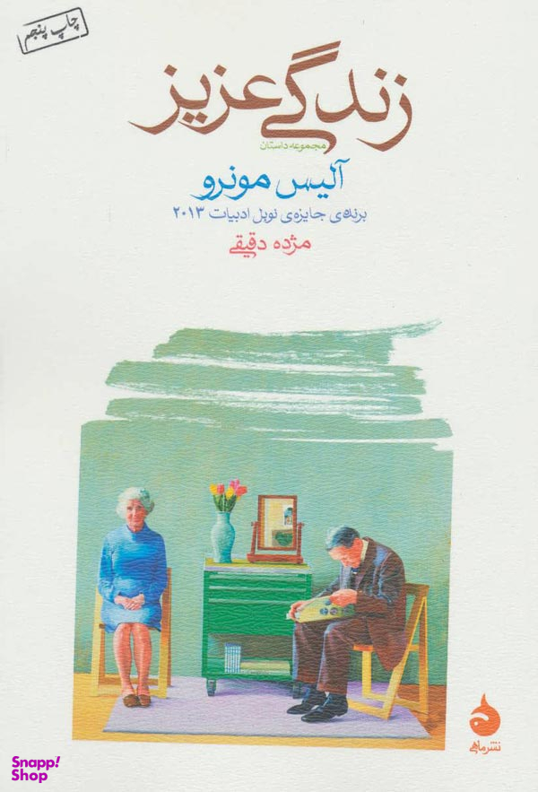 کتاب مجموعه داستان زندگی عزیز اثر آلیس مونرو نشر ماهی