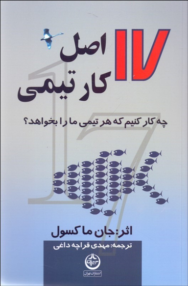کتاب 17 اصل کار تیمی اثر جان ماکسول انتشارات تهران