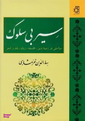 سیر بی سلوک (مباحثی در زمینه دین، فلسفه، زبان، نقد و شعر)