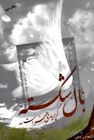 با بال شکسته گر پریدی هنر است
